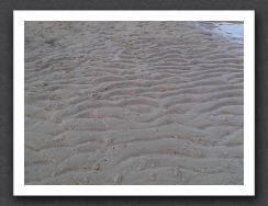 Ripple Sand2
